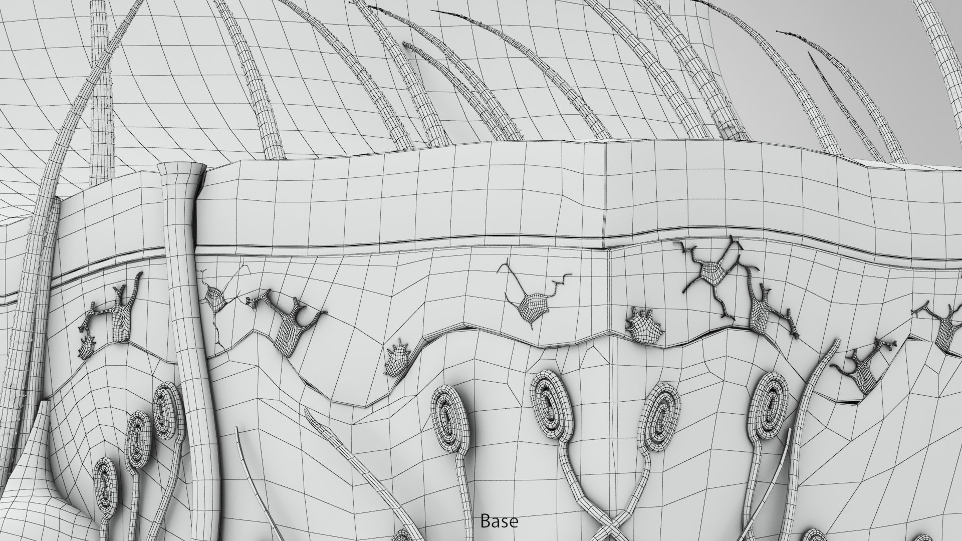 3D Skin Parts Anatomy https://p.turbosquid.com/ts-thumb/Cz/ujyL6n/5J/ww00005copy/jpg/1628174180/1920x1080/fit_q87/dcd73d448c6117434b289ef85f2c37811cc46cb7/ww00005copy.jpg