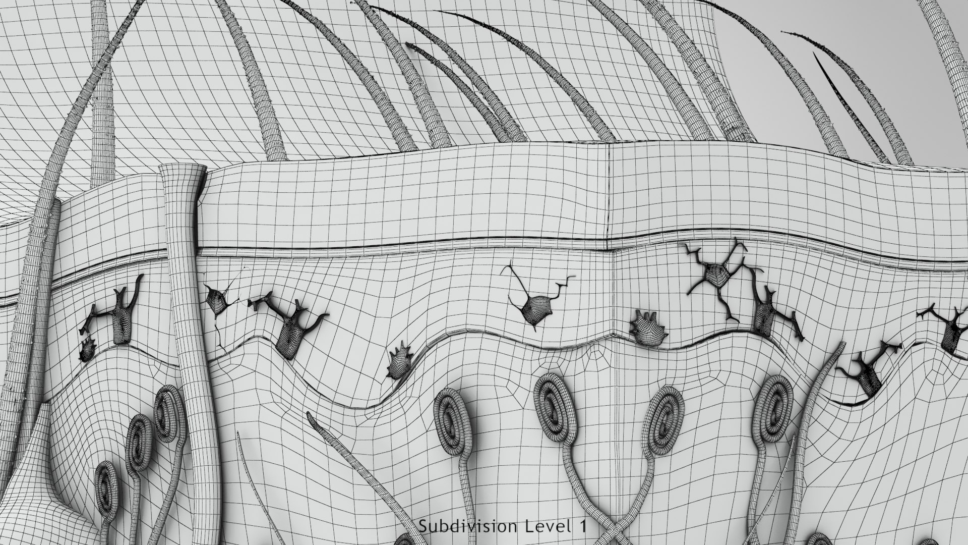 3D Skin Parts Anatomy https://p.turbosquid.com/ts-thumb/Cz/ujyL6n/dy/ww00005/jpg/1628174181/1920x1080/fit_q87/cc025664185274b5409448a8399fa04a83ff473f/ww00005.jpg