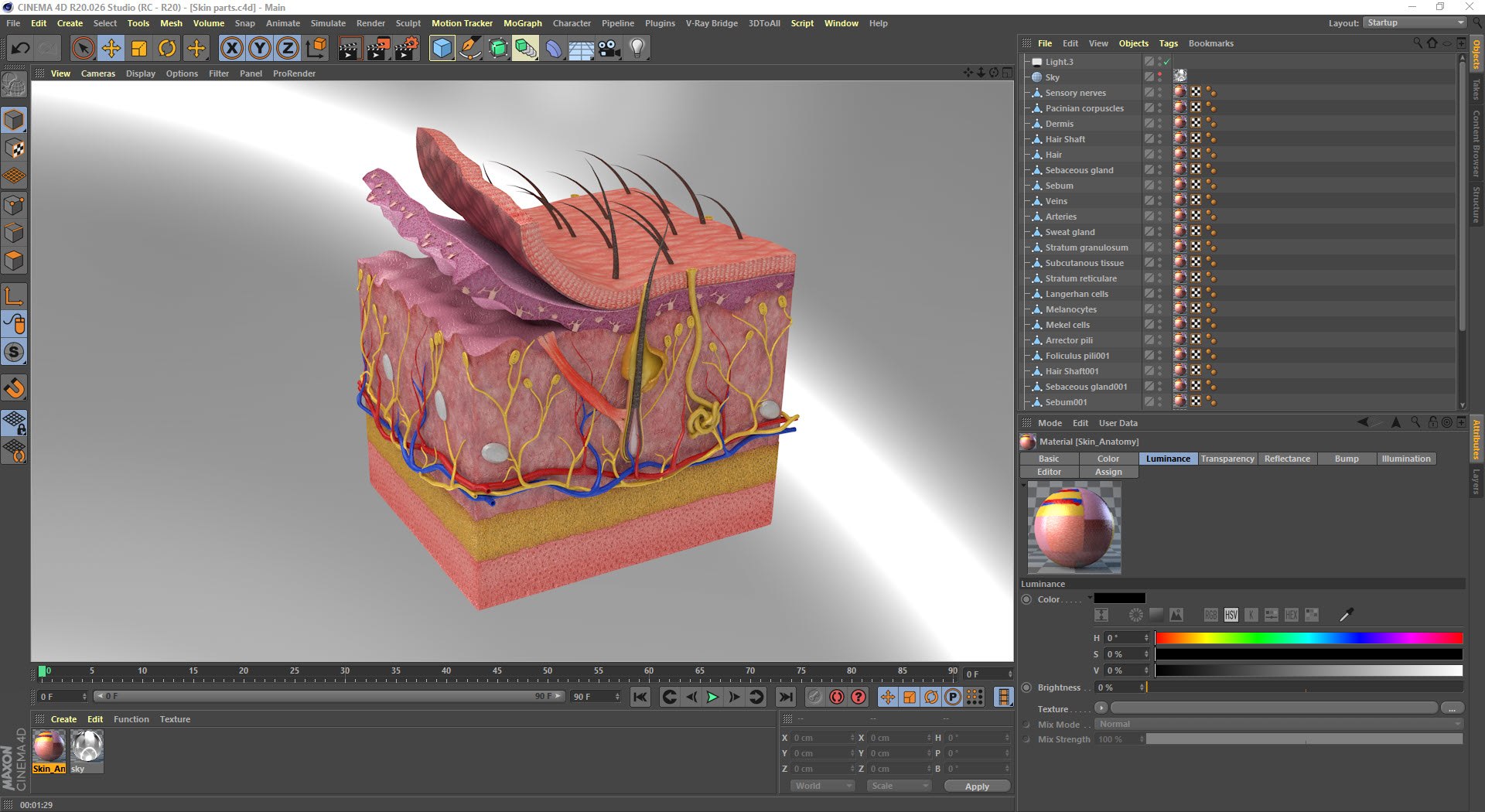 3D Skin Parts Anatomy https://p.turbosquid.com/ts-thumb/Cz/ujyL6n/ek/20210804_163727/jpg/1628174161/1920x1080/fit_q87/ae7f2aa0c554334debda3ada4910f4fe79881cd1/20210804_163727.jpg