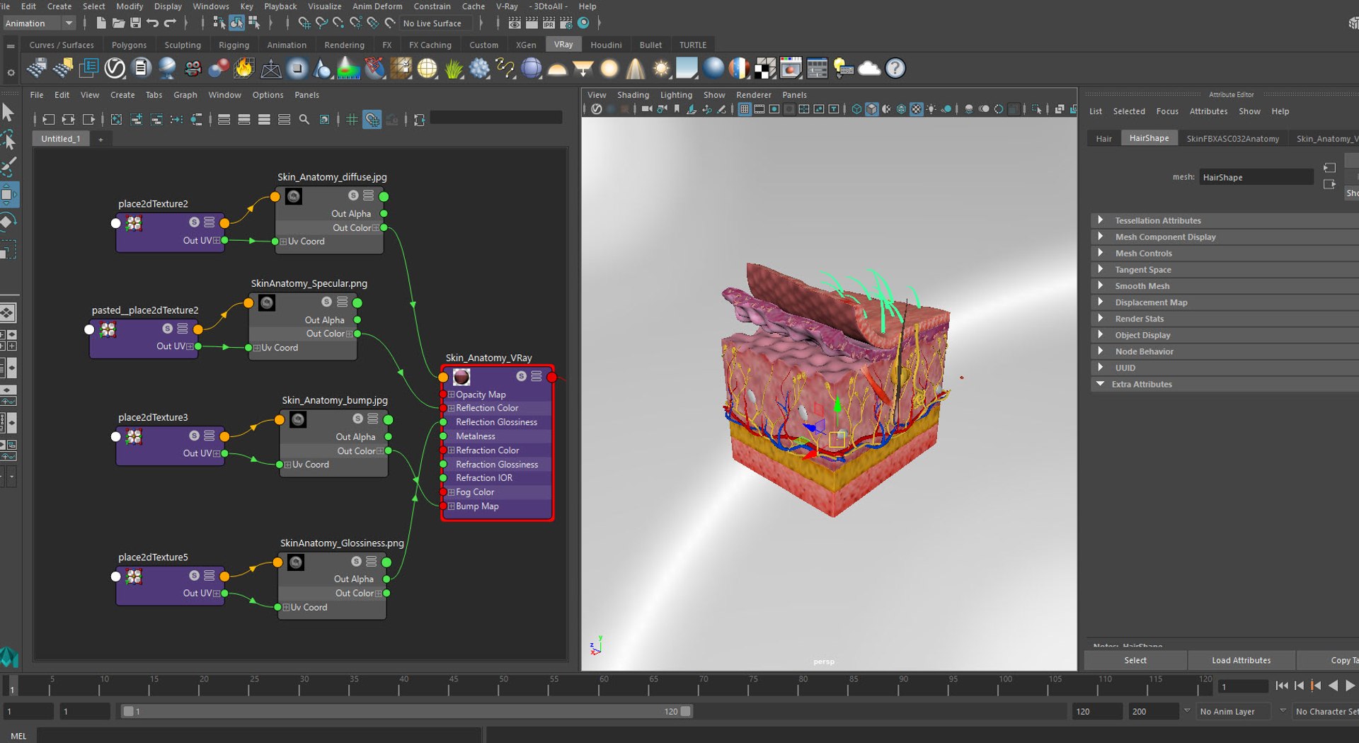 3D Skin Parts Anatomy https://p.turbosquid.com/ts-thumb/Cz/ujyL6n/p6/20210804_161938/jpg/1628174159/1920x1080/fit_q87/f6e0859704cc78f6627355e11865857d6925ce00/20210804_161938.jpg