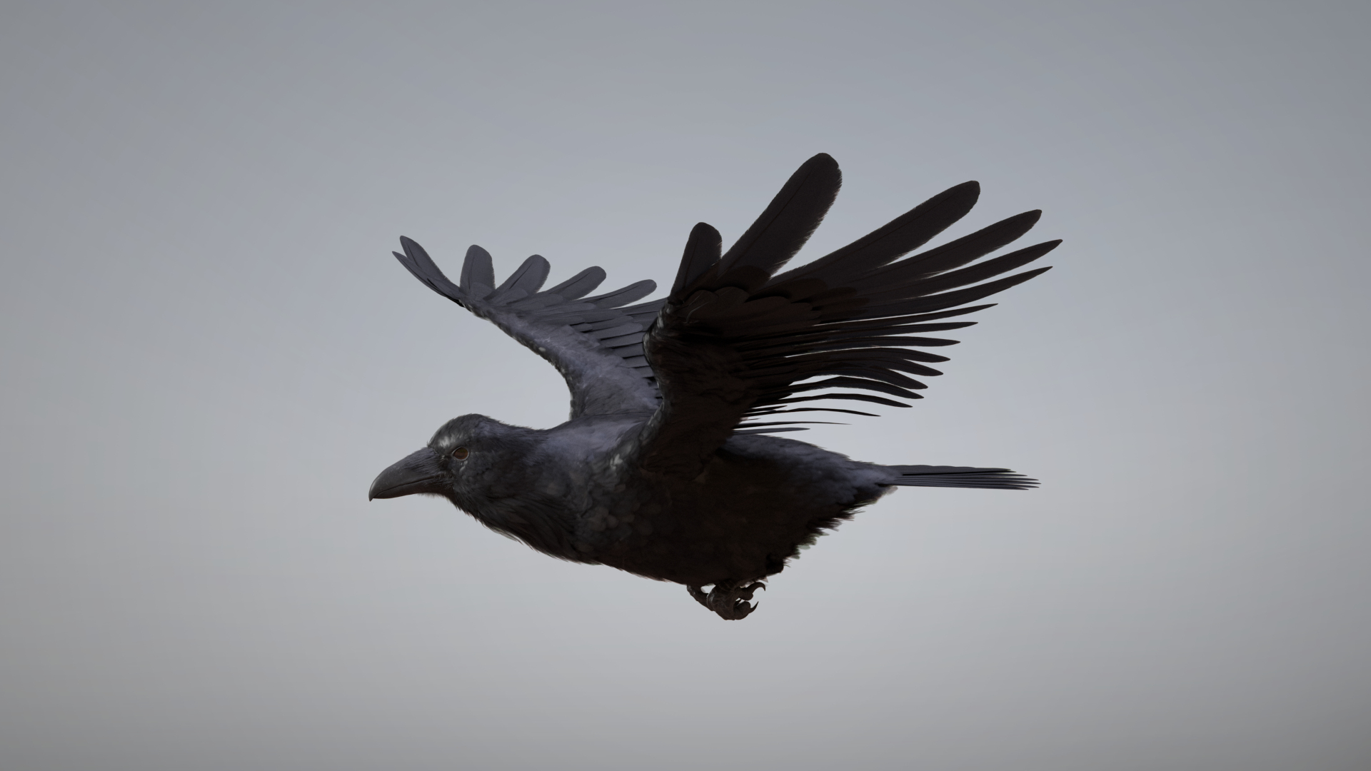 3D Raven Rigged - TurboSquid 1994841