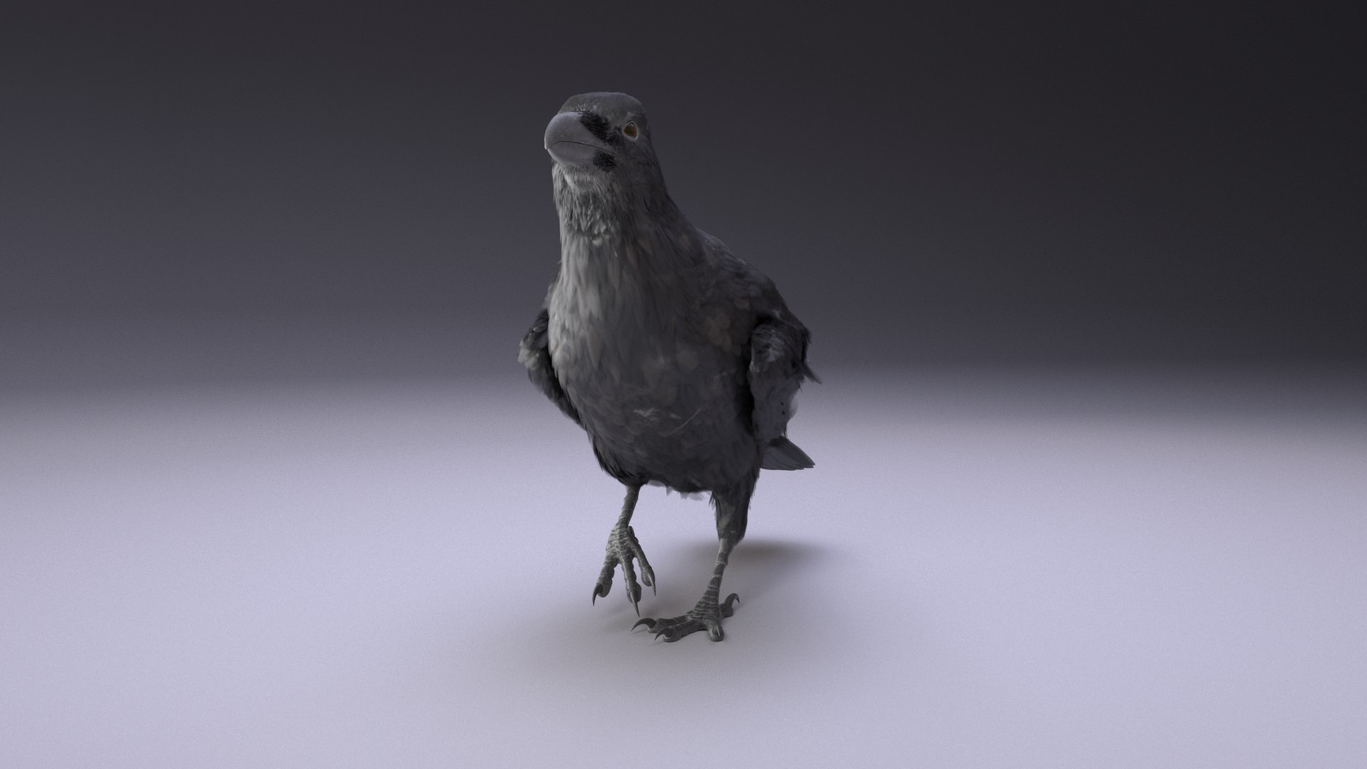 3D Raven Rigged https://p.turbosquid.com/ts-thumb/D0/2ZAHcp/Z1/raven016/png/1669816106/1920x1080/fit_q87/f05cb4cb8e24ddb5c4e884b781e85f01da7cbf69/raven016.jpg