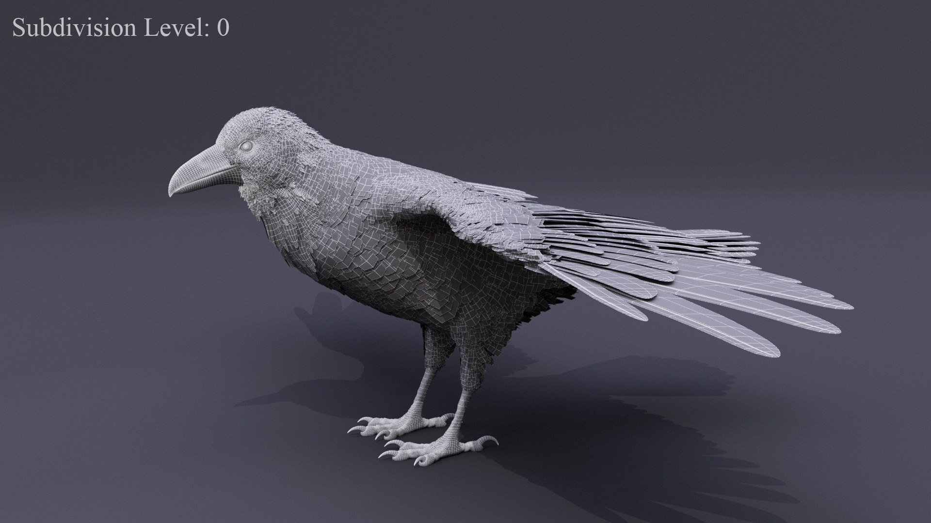 3D Raven Rigged https://p.turbosquid.com/ts-thumb/D0/2ZAHcp/Zv/wire1s0/jpg/1669816171/1920x1080/fit_q87/f705e988407ade7986ecf728ecd17279d8e8bbe1/wire1s0.jpg