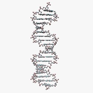 3d dna lightwave