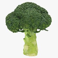 Broccoli 3