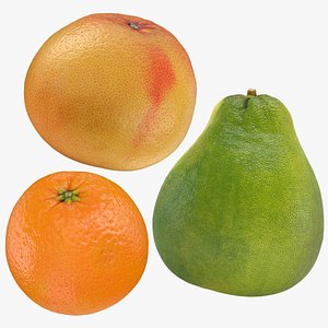 3D model Mixed Citrus Fruit Collection 1