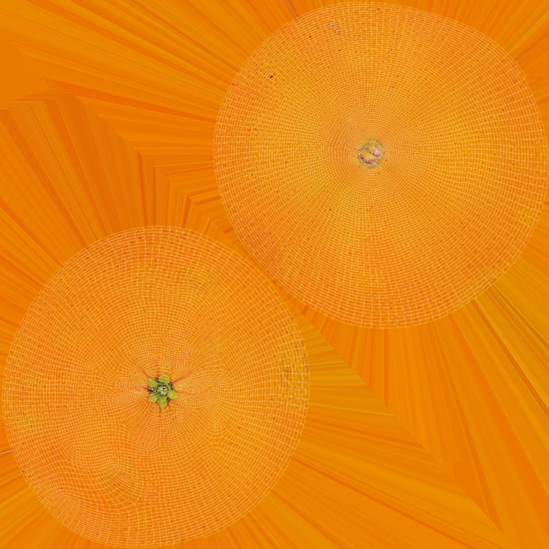 3D model Mixed Citrus Fruit Collection 1 https://p.turbosquid.com/ts-thumb/D0/IHfJic/iZ/orange_d0004/jpg/1717682306/1920x1080/fit_q87/b1a53d71e38beca06e4b4bbde22358eb7b0502d9/orange_d0004.jpg