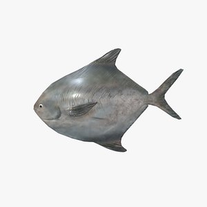 3D Medieval Market V4 Rupchanda FIsh