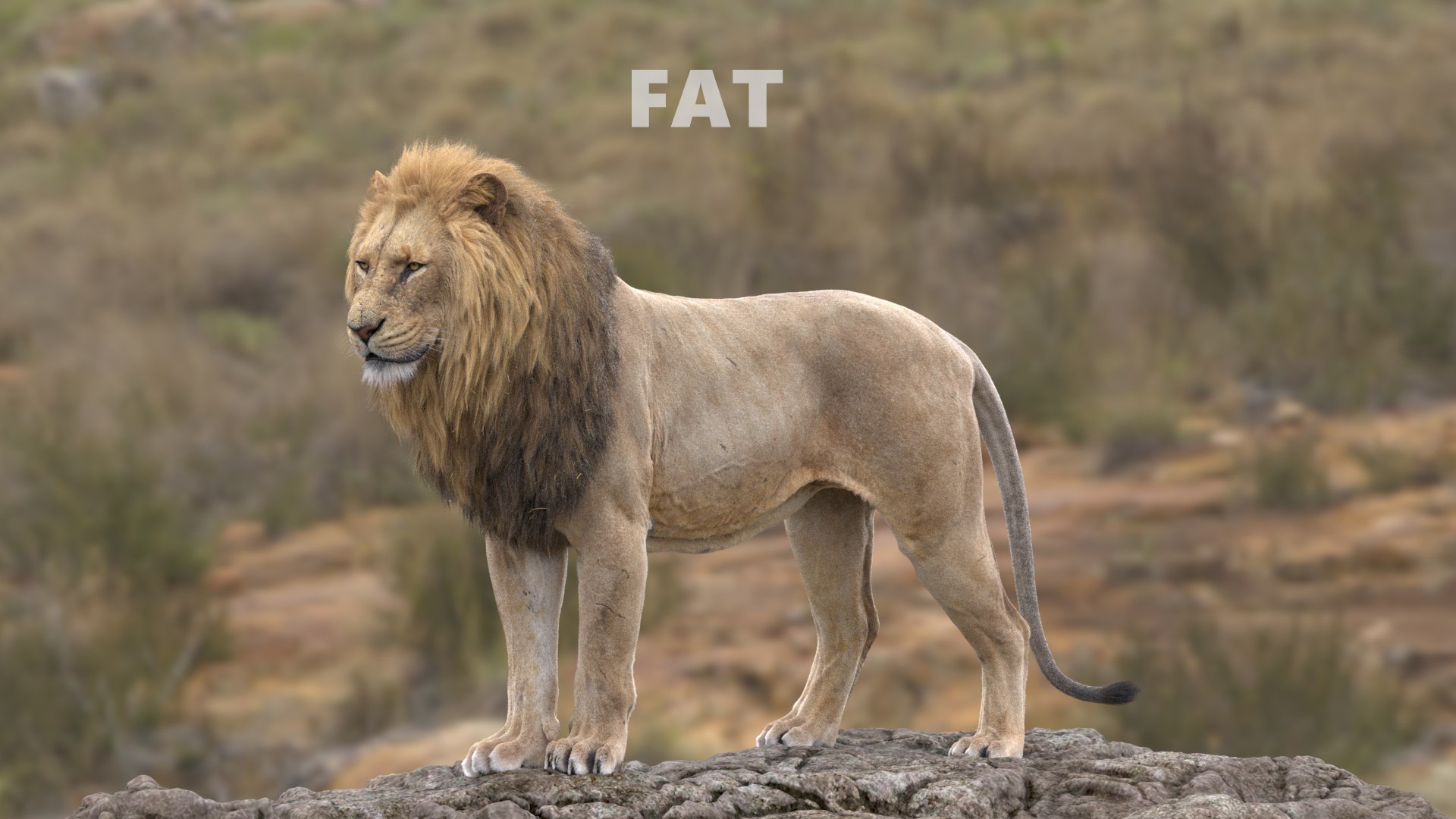 3D Lion Animated model https://p.turbosquid.com/ts-thumb/D0/T7zI2L/Lc/fat/jpg/1648569829/1920x1080/fit_q87/d20cd9a13cf69c1f407981a0b06c4f5b220aa6eb/fat.jpg