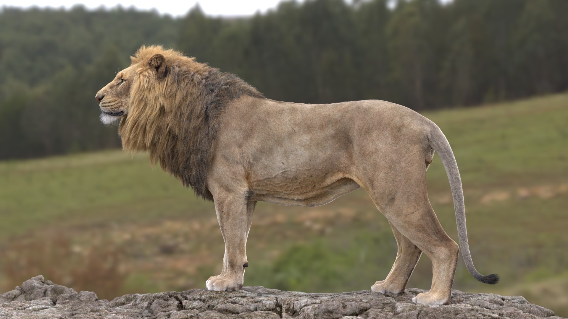 3D Lion Animated model https://p.turbosquid.com/ts-thumb/D0/T7zI2L/M5/2/jpg/1648633528/1920x1080/fit_q87/f284ebeb8c31f5aea4757924efe6d882257b43e5/2.jpg