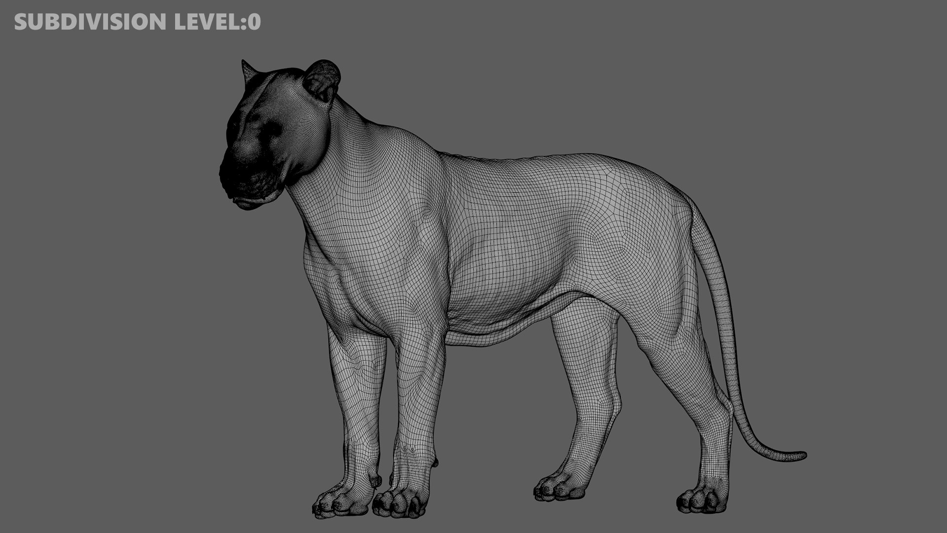 3D Lion Animated model https://p.turbosquid.com/ts-thumb/D0/T7zI2L/MI/20210706_210302/jpg/1648633713/1920x1080/fit_q87/b606775477286d18756e62decdb2ff50e65b41d9/20210706_210302.jpg
