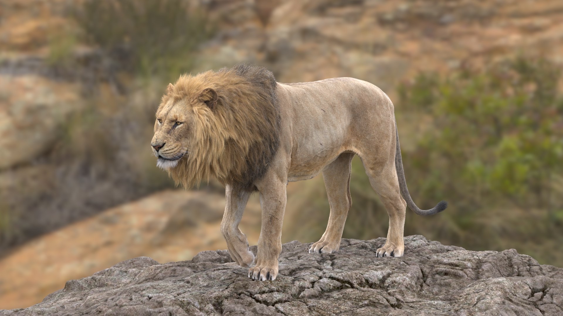 3D Lion Animated model https://p.turbosquid.com/ts-thumb/D0/T7zI2L/PK/9/jpg/1648633607/1920x1080/fit_q87/984a8a1490fc2f000b8856c31b2d0adc16797770/9.jpg