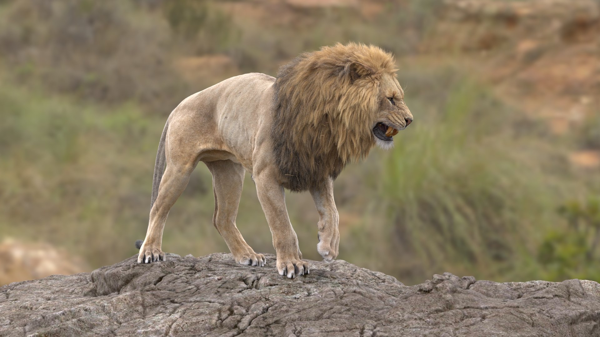 3D Lion Animated model https://p.turbosquid.com/ts-thumb/D0/T7zI2L/VE/6/jpg/1648633570/1920x1080/fit_q87/1829c34c8a75c7163d10c50f10f72418e79d0008/6.jpg
