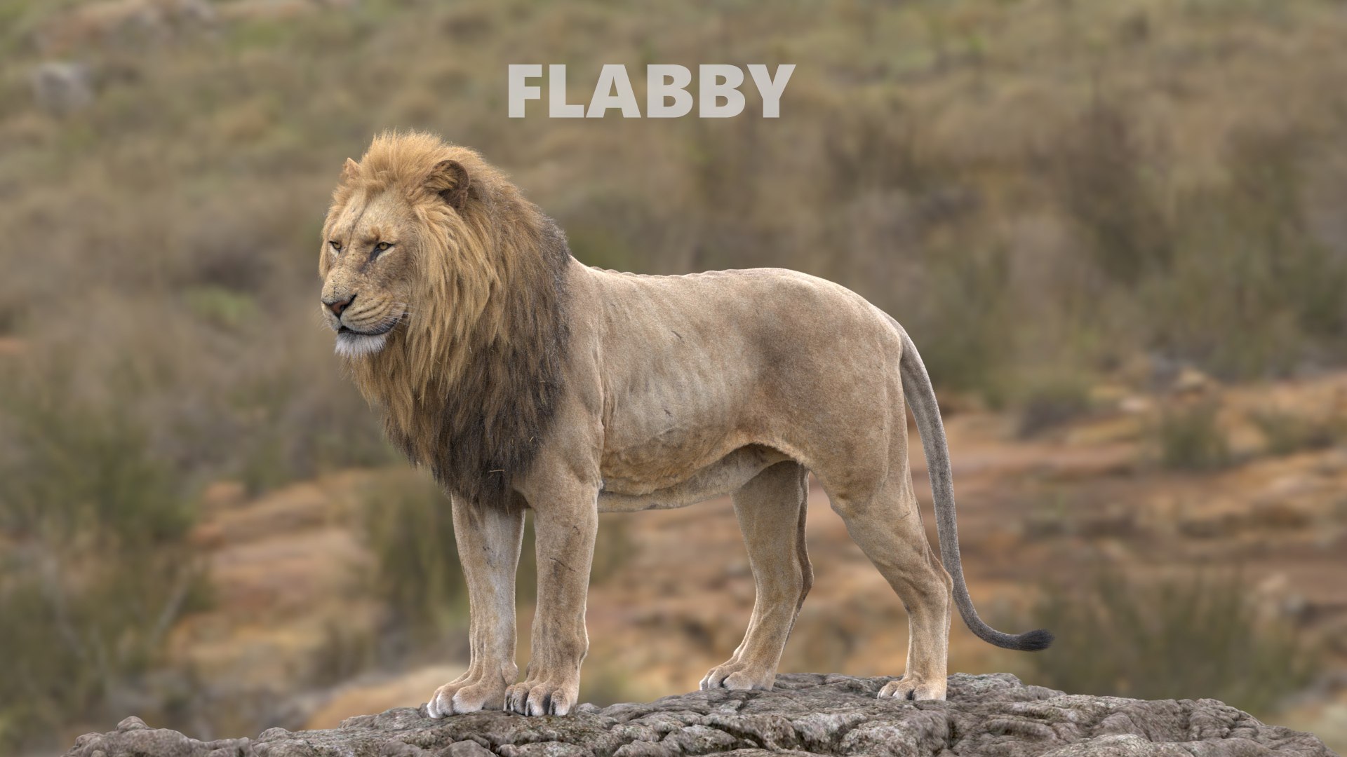 3D Lion Animated model https://p.turbosquid.com/ts-thumb/D0/T7zI2L/xR/flabby/jpg/1648569828/1920x1080/fit_q87/7cc1336b979bc3bb6b33fdeab9cfd20946561114/flabby.jpg