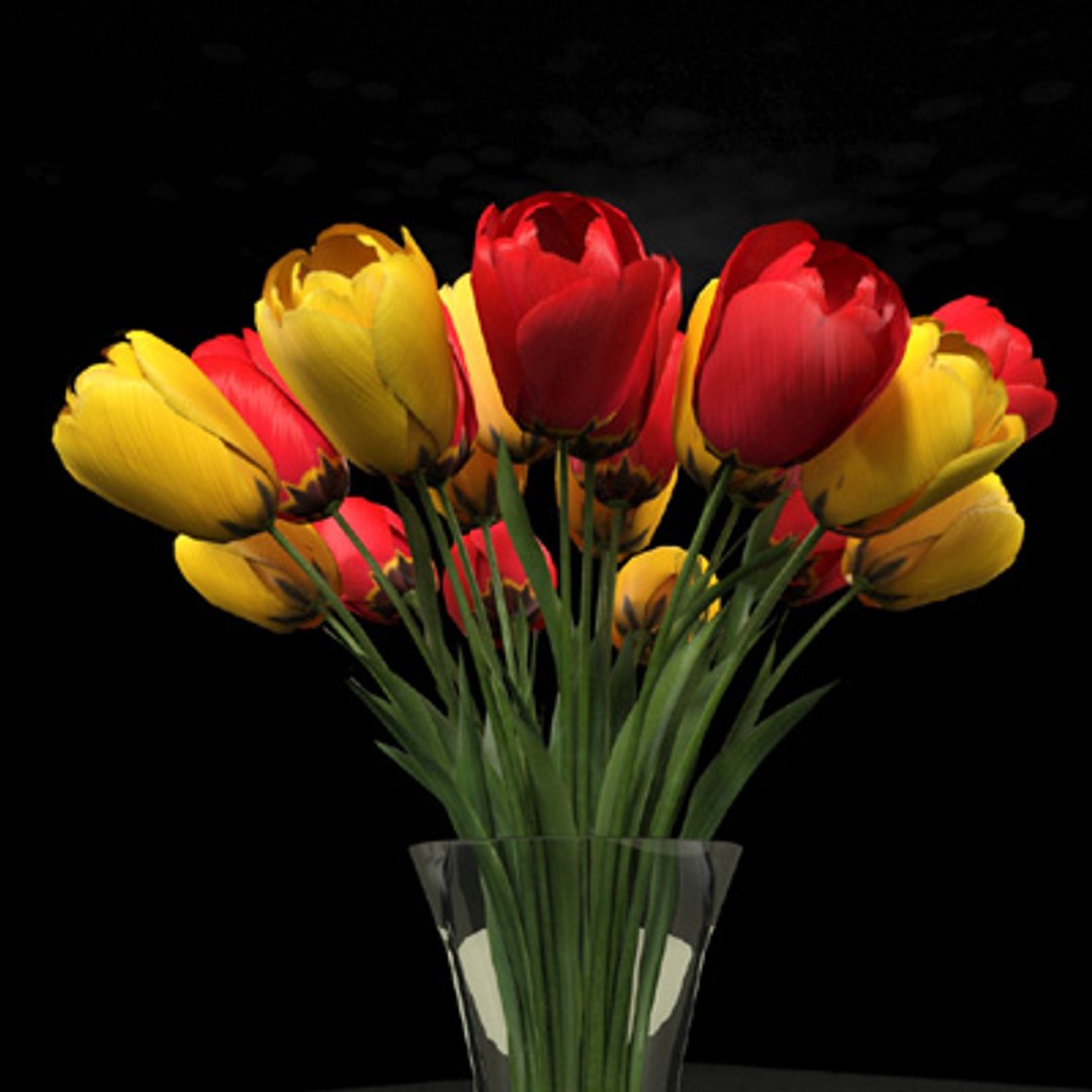 3d red yellow tulips vase model