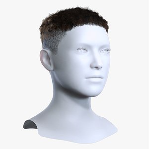 Textured Curly Afro Crop High Fade 3D Asset 3D model