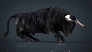 spanish bull 3D