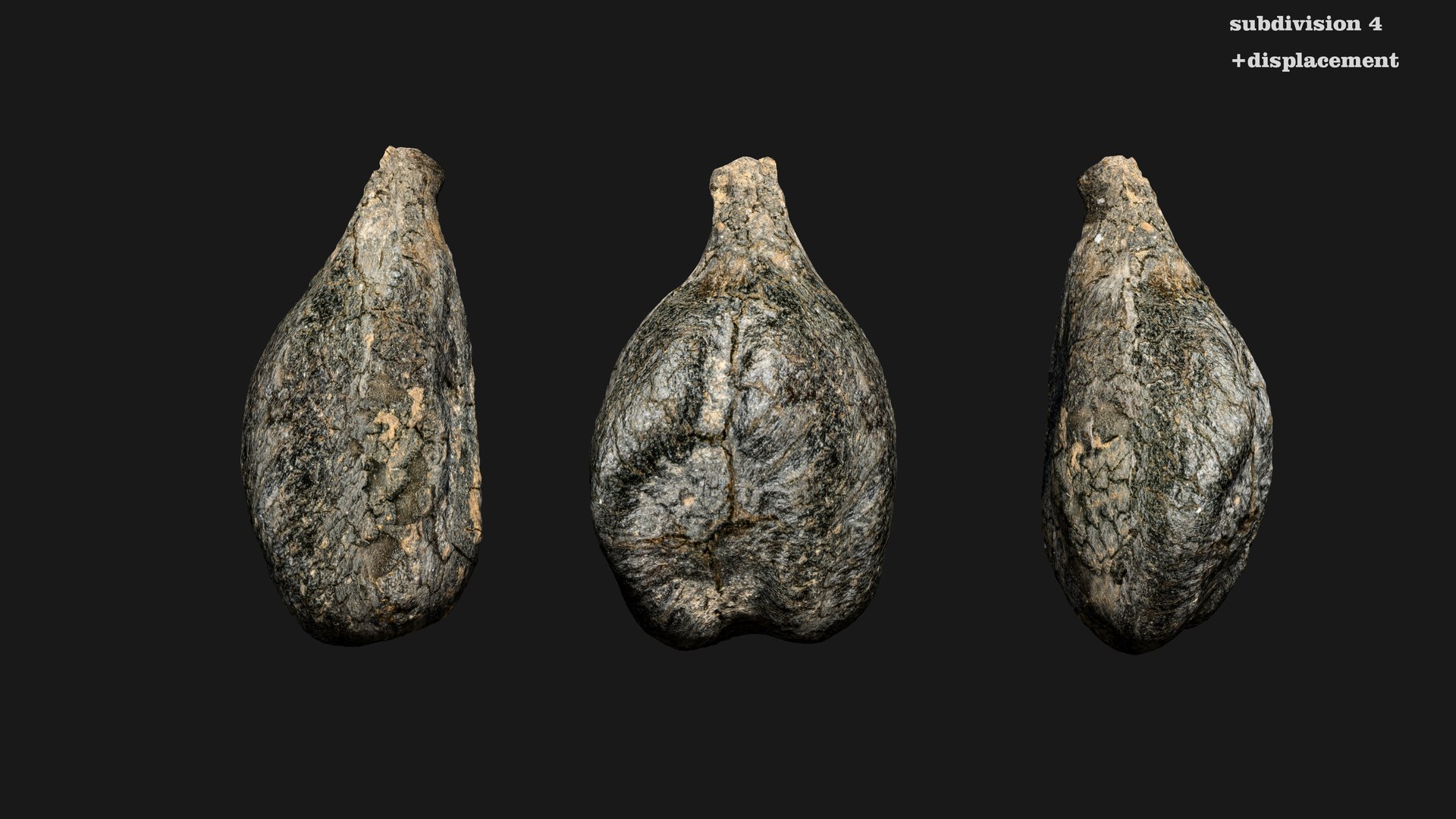 3D model Medieval Grape Seed Vitis vinifera PBR 8K https://p.turbosquid.com/ts-thumb/D0/sl5riA/01/vine13/jpg/1760076891/1920x1080/fit_q87/2fe6dcd887abbee2d436d4c340bf349ff75dfa94/vine13.jpg
