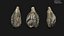 Medieval Grape Seed Vitis vinifera PBR 8K