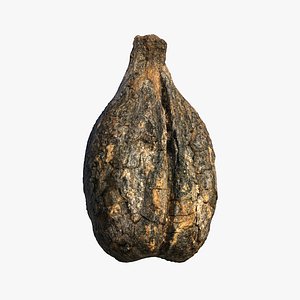 Medieval Grape Seed Vitis vinifera PBR 8K