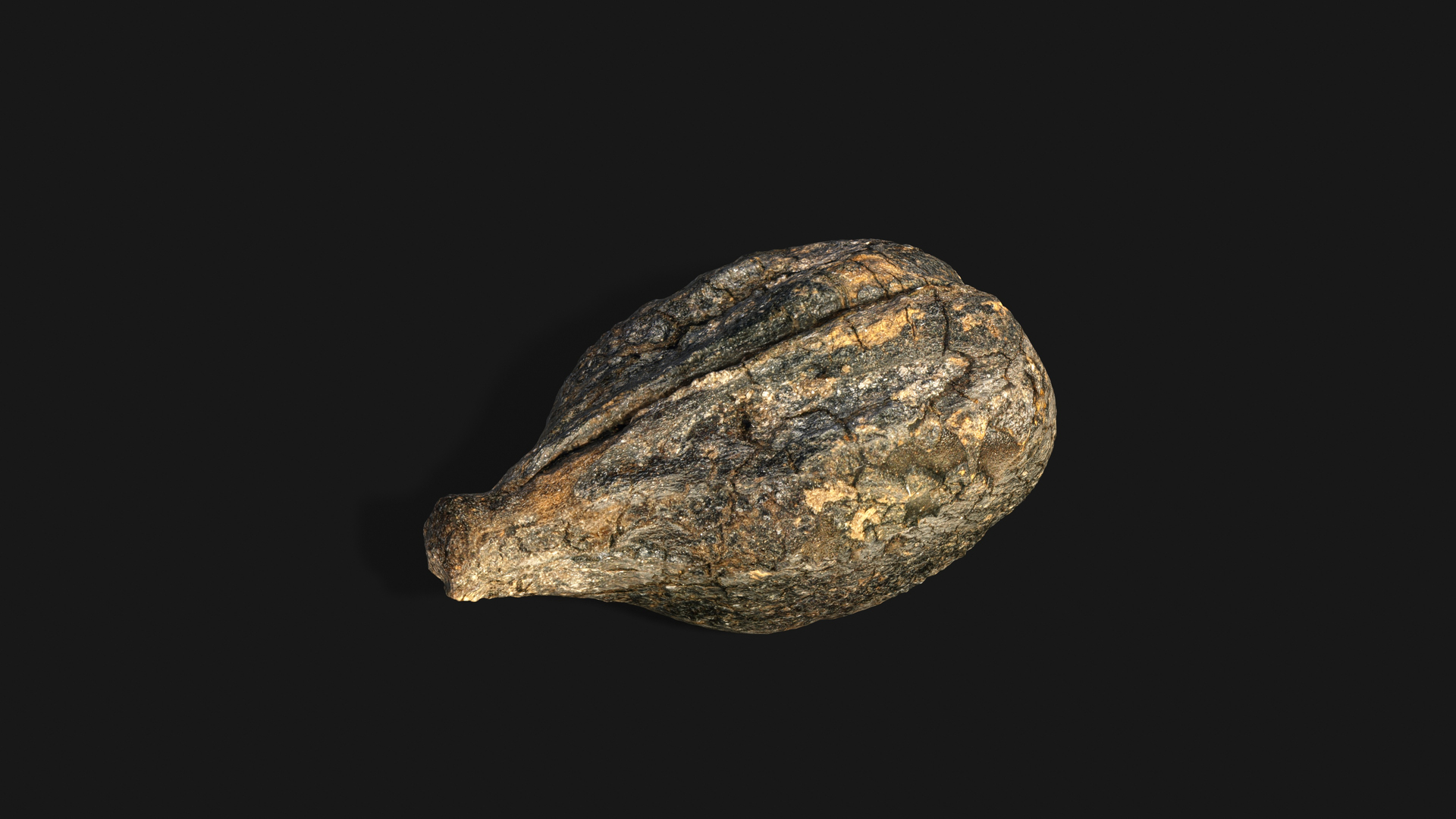 3D model Medieval Grape Seed Vitis vinifera PBR 8K https://p.turbosquid.com/ts-thumb/D0/sl5riA/Hv/vine_pit_fullquality/jpg/1759927485/1920x1080/turn_fit_q99/6129d26f4874f465c92d017dfc5bbf1739edd268/vine_pit_fullquality-1.jpg