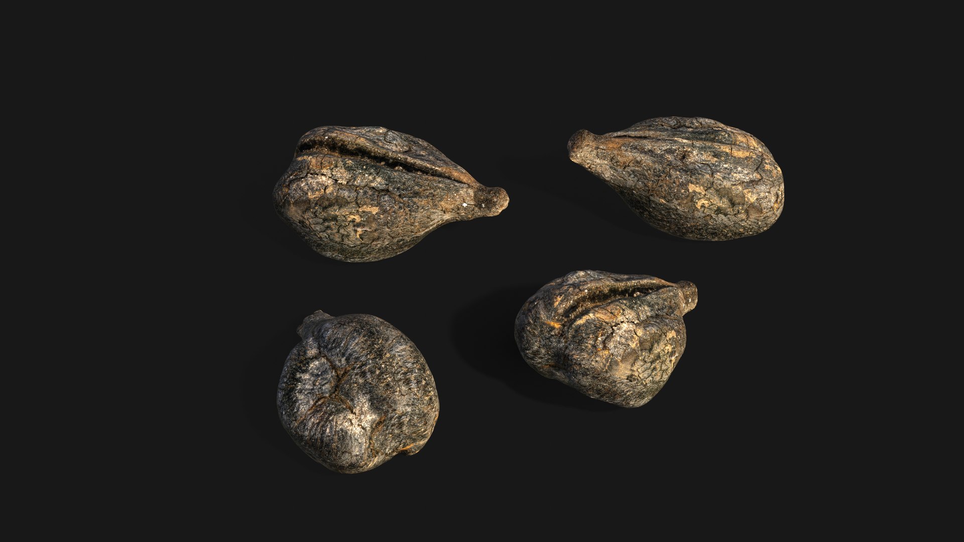 3D model Medieval Grape Seed Vitis vinifera PBR 8K https://p.turbosquid.com/ts-thumb/D0/sl5riA/S0/untitled_fullquality/jpg/1760083319/1920x1080/fit_q87/e30b334ce33ba6475a42bba4398ee5958877a747/untitled_fullquality.jpg