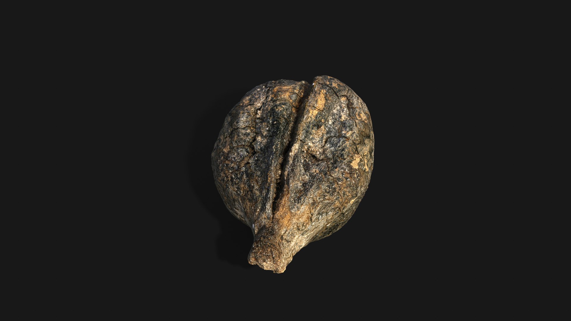 3D model Medieval Grape Seed Vitis vinifera PBR 8K https://p.turbosquid.com/ts-thumb/D0/sl5riA/ku/vine_pip06/jpg/1759927445/1920x1080/fit_q87/1fefe1f85825260b509a001b6ce51952cc799633/vine_pip06.jpg