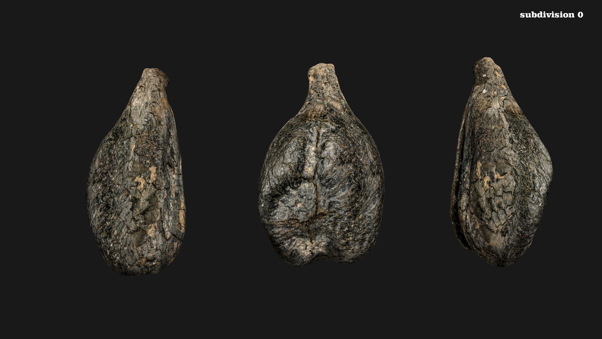 3D model Medieval Grape Seed Vitis vinifera PBR 8K https://p.turbosquid.com/ts-thumb/D0/sl5riA/rN/vine10/jpg/1760076886/1920x1080/fit_q87/a5269667e8ccf73a6cf4295ec8963739a328c376/vine10.jpg