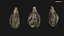 Medieval Grape Seed Vitis vinifera PBR 8K