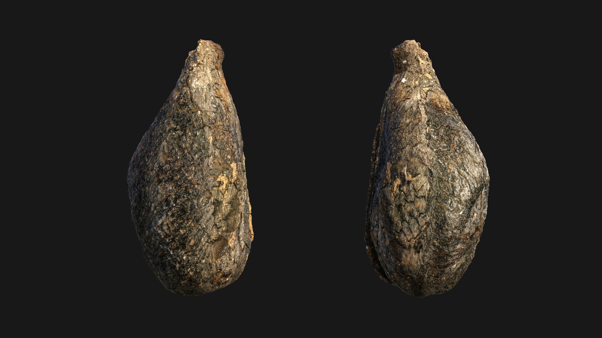 3D model Medieval Grape Seed Vitis vinifera PBR 8K https://p.turbosquid.com/ts-thumb/D0/sl5riA/tL/vine_pip03/jpg/1759927443/1920x1080/fit_q87/48ad531aa9db5119f9e78127febc38028b9e2ba1/vine_pip03.jpg