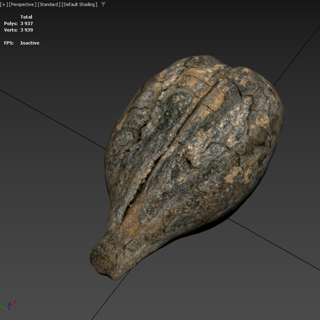 3D model Medieval Grape Seed Vitis vinifera PBR 8K https://p.turbosquid.com/ts-thumb/D0/sl5riA/wY/vine15/jpg/1760076889/1920x1080/fit_q87/9dfa315222d58c6526e33970d34de5f5e5407133/vine15.jpg