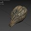 Medieval Grape Seed Vitis vinifera PBR 8K
