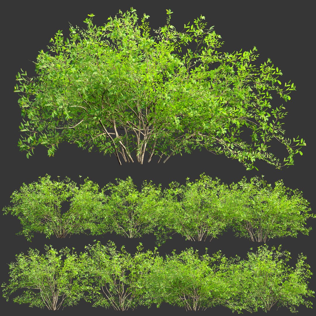 Low Poly Bushes Collection Vol 30-3dmodel 3D - TurboSquid 2247666