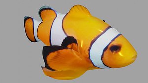 Clownfish OBJ BLEND