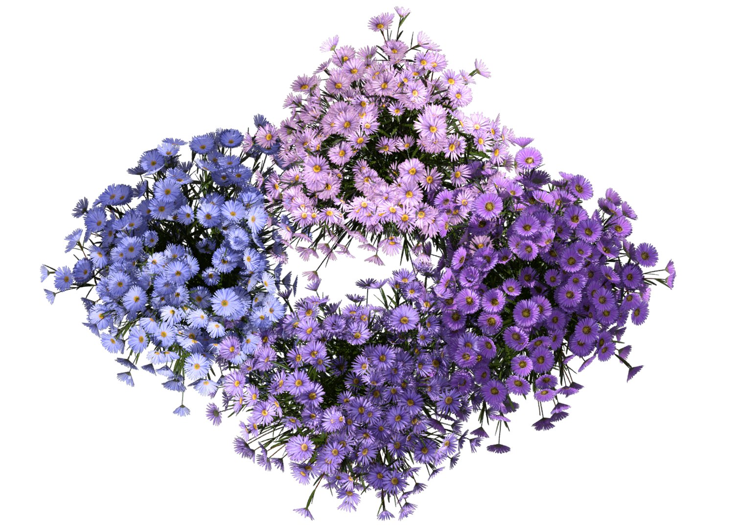 aster flowers 3D https://p.turbosquid.com/ts-thumb/D1/8bSikB/UjCLDZ21/flower_aster_3d_06/png/1517390604/1920x1080/fit_q87/1ac68a735bd4df7b6809e8751ea649d539690482/flower_aster_3d_06.jpg
