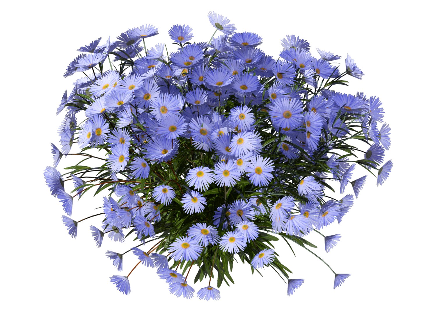 aster flowers 3D https://p.turbosquid.com/ts-thumb/D1/8bSikB/hOZmSH11/flower_aster_3d_02/png/1517390508/1920x1080/fit_q87/682a24bcb9a44412285b6434df1905b542fd8cfb/flower_aster_3d_02.jpg
