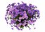 Flowers aster 3D