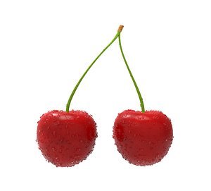 cherry fruit food 3D model