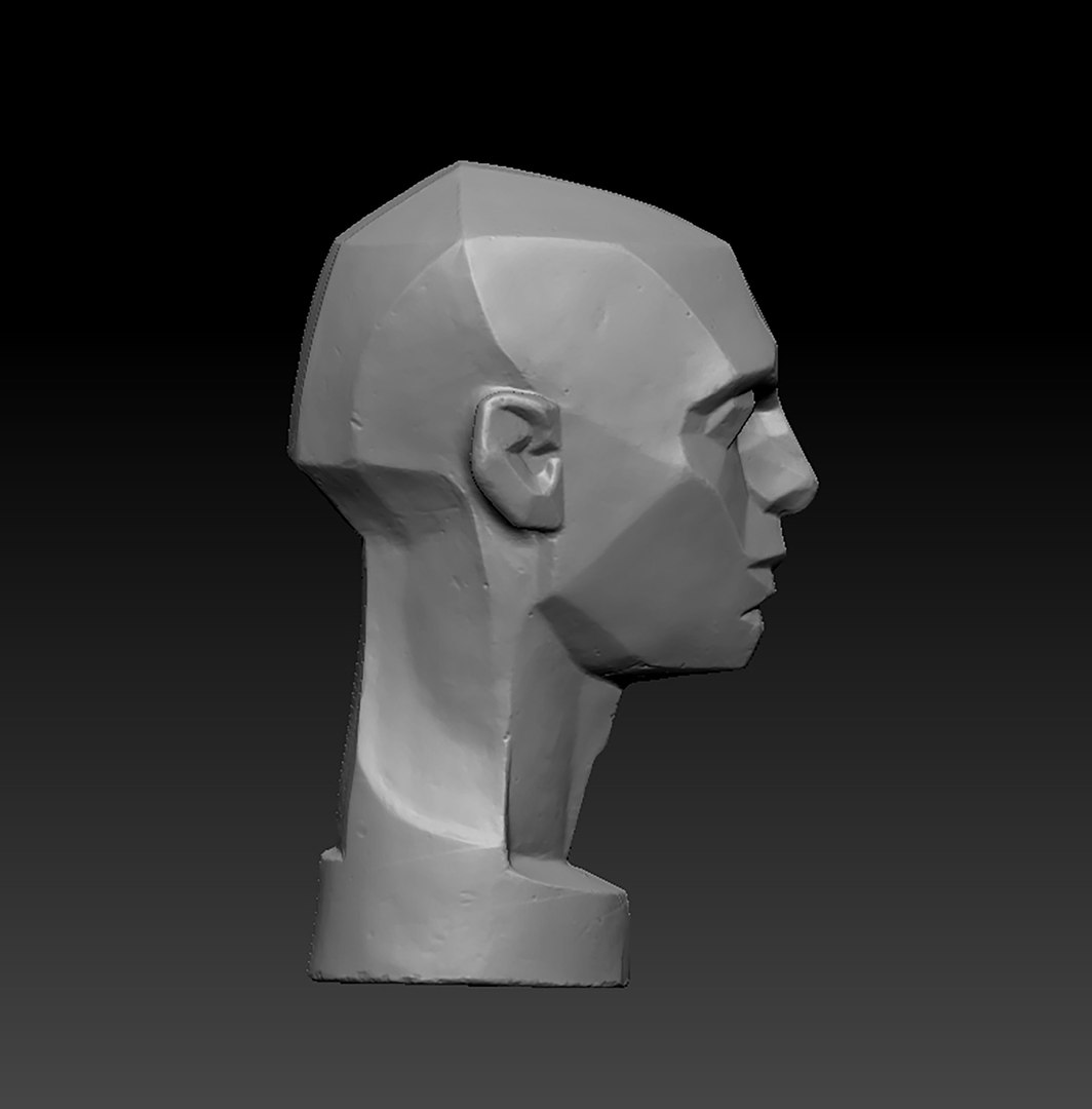 Planes Of The Head 3D Model - TurboSquid 1803185