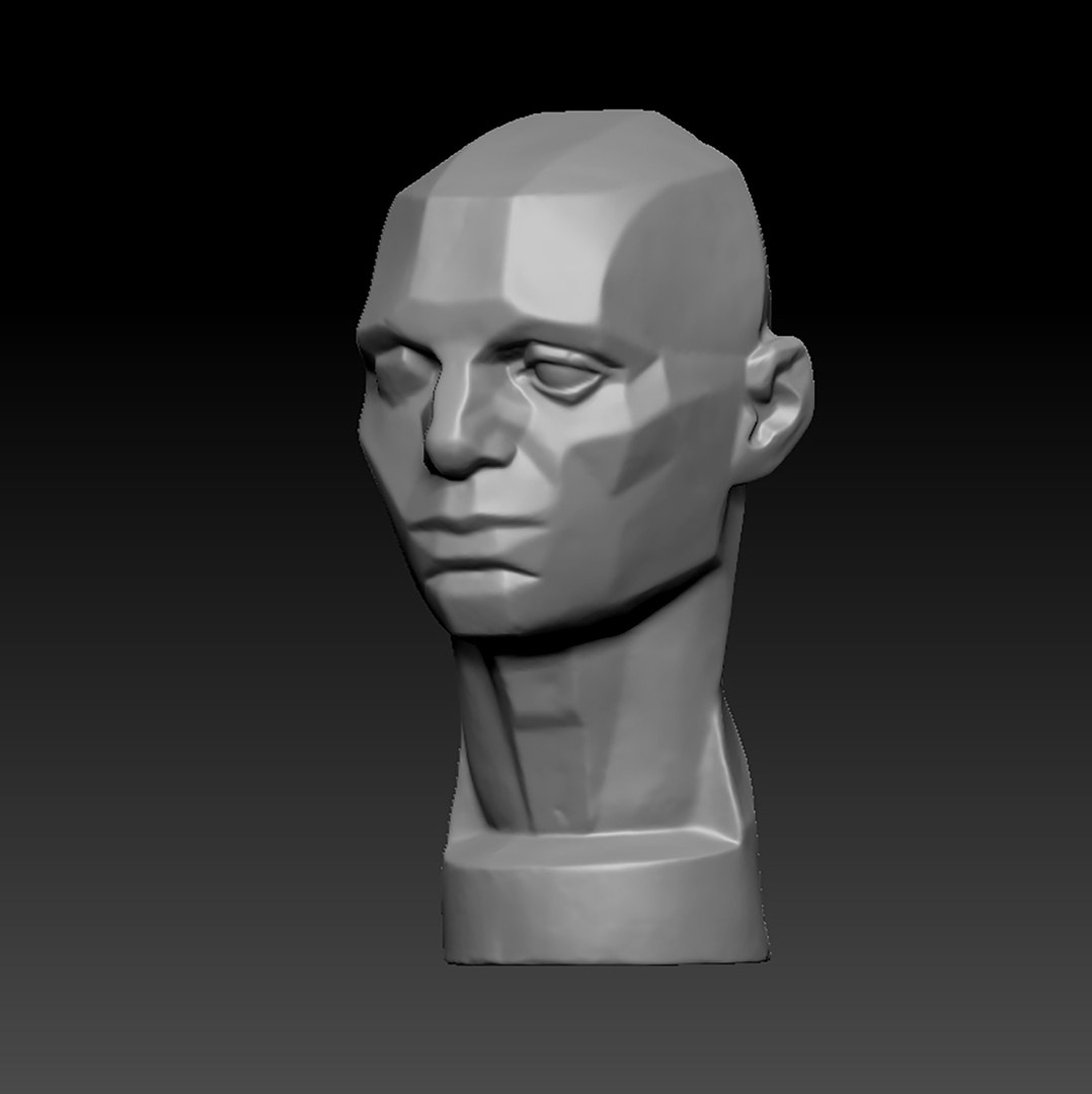 Planes Of The Head 3D Model - TurboSquid 1803185