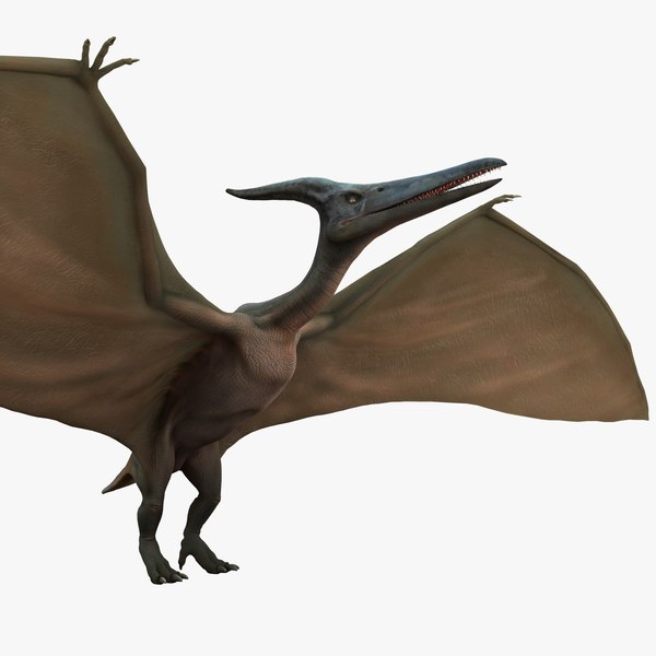 modelo 3d Pterodactyl Rigged - TurboSquid 836076