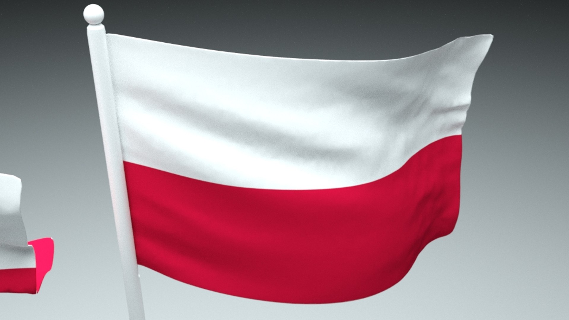 flag poland 3D model https://p.turbosquid.com/ts-thumb/D1/Dw1WMj/2777zt9P/flagpoland3/jpg/1595414308/1920x1080/fit_q87/2476699f6b07504ff7c83466472d5061b0ea3263/flagpoland3.jpg