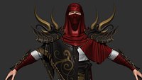 ASSASIN