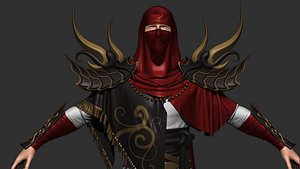 ASSASIN