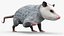 3D Opossum Eating Animated Rigged for Maya
