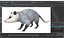 3D Opossum Eating Animated Rigged for Maya