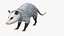 3D Opossum Eating Animated Rigged for Maya