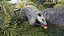 3D Opossum Eating Animated Rigged for Maya