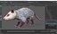 3D Opossum Eating Animated Rigged for Maya