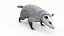 3D Opossum Eating Animated Rigged for Maya